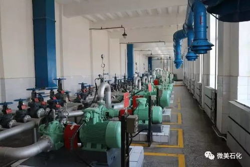 家有 三寶,發(fā)展無(wú)憂(yōu)