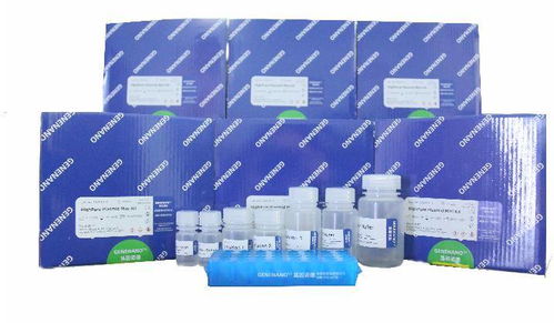 科技創(chuàng)新 這家渝企自主開發(fā)生物醫(yī)藥技術有望開創(chuàng)腫瘤早診新局面