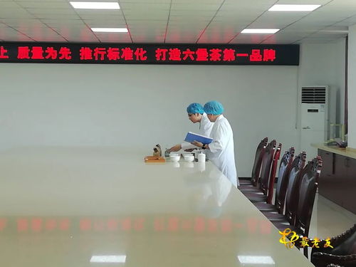 廣西速溶六堡茶工程技術研究中心通過自治區(qū)科技廳驗收