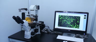 廣州輝園苑醫(yī)藥科技