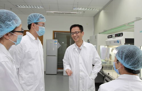 廈門市科技獎(jiǎng)凸顯企業(yè)創(chuàng)新主體地位，醫(yī)藥科技領(lǐng)域成果斐然引領(lǐng)高質(zhì)量發(fā)展